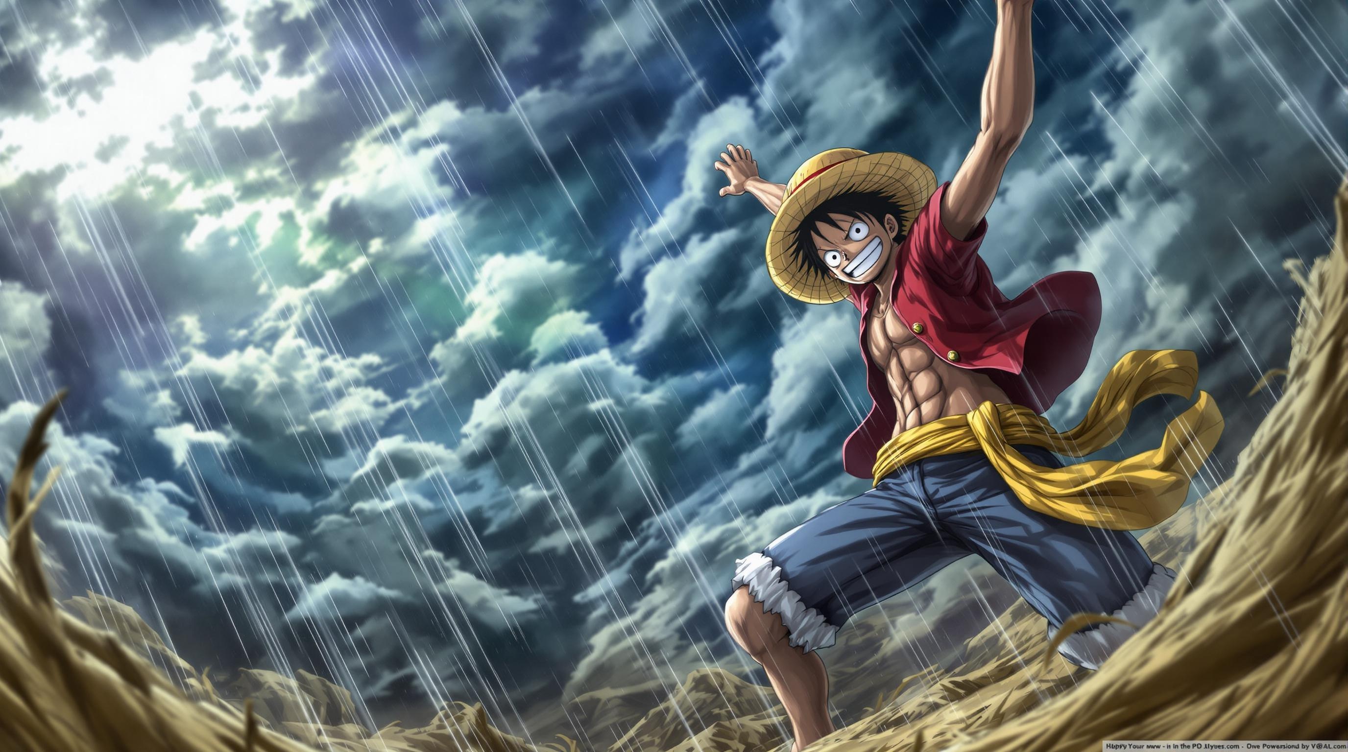 Luffy One Piece Action Wallpaper